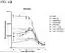 Fig. 17 - METHODS AND COMPOSITIONS FOR TREATING NON-ERK MAPK PATHWAY INHIBITOR-RESISTANT CANCERS