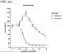 Fig. 24 - METHODS AND COMPOSITIONS FOR TREATING NON-ERK MAPK PATHWAY INHIBITOR-RESISTANT CANCERS