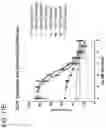 Fig. 48 - METHODS AND COMPOSITIONS FOR TREATING NON-ERK MAPK PATHWAY INHIBITOR-RESISTANT CANCERS