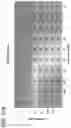 Fig. 53 - METHODS AND COMPOSITIONS FOR TREATING NON-ERK MAPK PATHWAY INHIBITOR-RESISTANT CANCERS