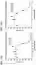 Fig. 59 - METHODS AND COMPOSITIONS FOR TREATING NON-ERK MAPK PATHWAY INHIBITOR-RESISTANT CANCERS