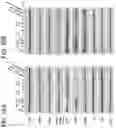 Fig. 65 - METHODS AND COMPOSITIONS FOR TREATING NON-ERK MAPK PATHWAY INHIBITOR-RESISTANT CANCERS