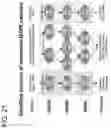 Fig. 73 - METHODS AND COMPOSITIONS FOR TREATING NON-ERK MAPK PATHWAY INHIBITOR-RESISTANT CANCERS