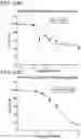 Fig. 89 - METHODS AND COMPOSITIONS FOR TREATING NON-ERK MAPK PATHWAY INHIBITOR-RESISTANT CANCERS