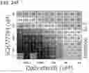 Fig. 91 - METHODS AND COMPOSITIONS FOR TREATING NON-ERK MAPK PATHWAY INHIBITOR-RESISTANT CANCERS