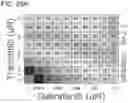 Fig. 97 - METHODS AND COMPOSITIONS FOR TREATING NON-ERK MAPK PATHWAY INHIBITOR-RESISTANT CANCERS