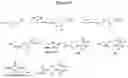 Fig. 04 - 4-METHYLSULFONYL-SUBSTITUTED PIPERIDINE UREA COMPOUNDS