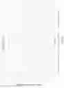 Fig. 09 - COMPOSITIONS AND METHODS FOR INHIBITING ACSS2