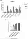 Fig. 14 - COMPOSITIONS AND METHODS FOR INHIBITING ACSS2