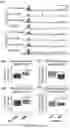 Fig. 17 - COMPOSITIONS AND METHODS FOR INHIBITING ACSS2