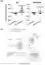 Fig. 30 - COMPOSITIONS AND METHODS FOR INHIBITING ACSS2