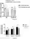 Fig. 41 - COMPOSITIONS AND METHODS FOR INHIBITING ACSS2