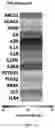 Fig. 10 - METHOD OF INHIBITING TREM-1