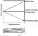 Fig. 19 - METHOD OF INHIBITING TREM-1