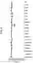 Fig. 09 - METHOD OF TREATING FIBROSIS