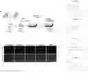 Fig. 01 - Compositions and Methods for the Treatment of Prader-Willi Syndrome