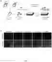 Fig. 02 - Compositions and Methods for the Treatment of Prader-Willi Syndrome
