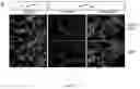 Fig. 05 - Compositions and Methods for the Treatment of Prader-Willi Syndrome