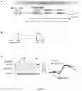 Fig. 08 - Compositions and Methods for the Treatment of Prader-Willi Syndrome