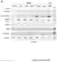 Fig. 10 - Compositions and Methods for the Treatment of Prader-Willi Syndrome