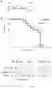 Fig. 14 - Compositions and Methods for the Treatment of Prader-Willi Syndrome