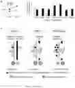 Fig. 20 - Compositions and Methods for the Treatment of Prader-Willi Syndrome