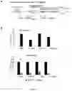 Fig. 22 - Compositions and Methods for the Treatment of Prader-Willi Syndrome