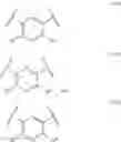 Fig. 63 - Compositions and methods for the treatment of adenomyosis and rectovaginal endometriosis