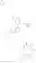 Fig. 254 - ARYLQUINAZOLINES