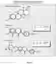 Fig. 02 - Composition, Formulations and Methods of Making and Using Botanicals and Natural Compounds for the Promotion of Healthy Brain Aging