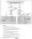 Fig. 08 - Composition, Formulations and Methods of Making and Using Botanicals and Natural Compounds for the Promotion of Healthy Brain Aging