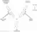 Fig. 01 - Vitamin c and doxycycline: a synthetic lethal combination therapy for eradicating cancer stem cells (CSCS)
