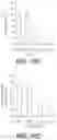 Fig. 21 - Vitamin c and doxycycline: a synthetic lethal combination therapy for eradicating cancer stem cells (CSCS)