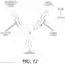 Fig. 23 - Vitamin c and doxycycline: a synthetic lethal combination therapy for eradicating cancer stem cells (CSCS)