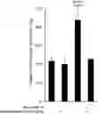 Fig. 01 - Methods and compositions relating to the treatment of fibrosis