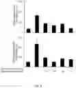 Fig. 09 - Methods and compositions relating to the treatment of fibrosis