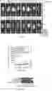 Fig. 03 - COMPOSITIONS AND METHODS FOR INDUCING OR SUPPLEMENTING SOCS3 TO ABROGATE TUMOR GROWTH AND PROLIFERATIVE RETINOPATHY