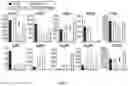 Fig. 10 - COMPOSITIONS AND METHODS FOR INDUCING OR SUPPLEMENTING SOCS3 TO ABROGATE TUMOR GROWTH AND PROLIFERATIVE RETINOPATHY