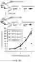Fig. 13 - COMPOSITIONS AND METHODS FOR INDUCING OR SUPPLEMENTING SOCS3 TO ABROGATE TUMOR GROWTH AND PROLIFERATIVE RETINOPATHY