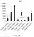Fig. 18 - COMPOSITIONS AND METHODS FOR INDUCING OR SUPPLEMENTING SOCS3 TO ABROGATE TUMOR GROWTH AND PROLIFERATIVE RETINOPATHY