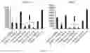 Fig. 19 - COMPOSITIONS AND METHODS FOR INDUCING OR SUPPLEMENTING SOCS3 TO ABROGATE TUMOR GROWTH AND PROLIFERATIVE RETINOPATHY