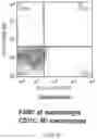 Fig. 26 - COMPOSITIONS AND METHODS FOR INDUCING OR SUPPLEMENTING SOCS3 TO ABROGATE TUMOR GROWTH AND PROLIFERATIVE RETINOPATHY