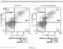 Fig. 28 - COMPOSITIONS AND METHODS FOR INDUCING OR SUPPLEMENTING SOCS3 TO ABROGATE TUMOR GROWTH AND PROLIFERATIVE RETINOPATHY