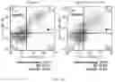 Fig. 29 - COMPOSITIONS AND METHODS FOR INDUCING OR SUPPLEMENTING SOCS3 TO ABROGATE TUMOR GROWTH AND PROLIFERATIVE RETINOPATHY