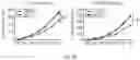 Fig. 38 - COMPOSITIONS AND METHODS FOR INDUCING OR SUPPLEMENTING SOCS3 TO ABROGATE TUMOR GROWTH AND PROLIFERATIVE RETINOPATHY