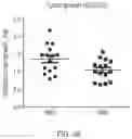 Fig. 40 - COMPOSITIONS AND METHODS FOR INDUCING OR SUPPLEMENTING SOCS3 TO ABROGATE TUMOR GROWTH AND PROLIFERATIVE RETINOPATHY