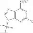 Fig. 06 - Compounds Useful in HIV Therapy