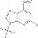 Fig. 18 - Compounds Useful in HIV Therapy