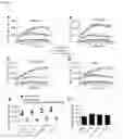 Fig. 07 - METHOD OF PREVENTING OF SYSTEMIC-TO-PULMONARY-ARTERY SHUNT THROMBOSIS