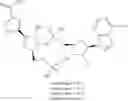 Fig. 157 - Cyclic dinucleotides as anticancer agents
